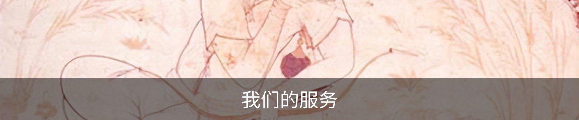 我们的服务